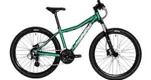 Corratec X-Vert Rock 26 Jant Dağ Bisikleti - Green/Black/Gray