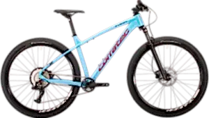 Corratec X-Vert Pro 29 Jant Dağ Bisikleti - Blue/Red