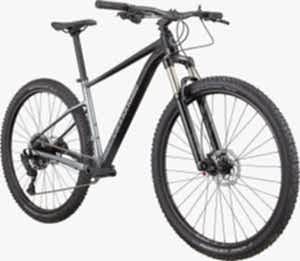 Cannondale Trail SL 4 29 Jant Dağ Bisikleti - Grey