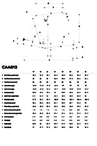 Cannondale Caad13 105 Di2 Yol Bisikleti - Mercury