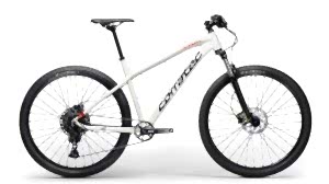 Corratec X-Vert 29 Elite Dağ Bisikleti - Gri/Kırmızı/Koyu Kahve