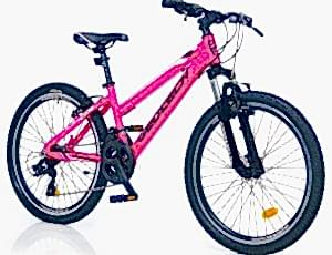 Geotech Path 24 Econ 1 24 Jant  21 Vites Çocuk Bisikleti - Pembe