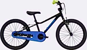 Cannondale Kids Trail 20 Jant Çocuk Bisikleti - Siyah