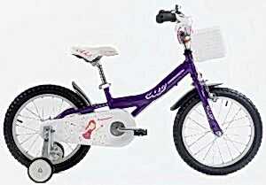 Geotech Princess 16 Jant Çocuk Bisikleti - Mor