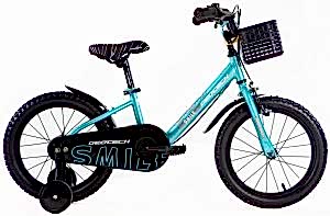 Geotech Smile 16 Jant Çocuk Bisikleti - Turkuaz