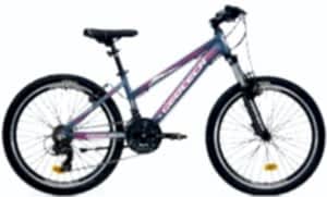 Geotech Path 24 Econ 4 24 Jant 21 Vites Çocuk Bisikleti - Gri/Pembe