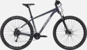 Cannondale Trail 6 27,5 / 29 Jant Dağ Bisikleti - Slate Gray