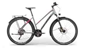 Corratec MTC Elite Trapez 29 Dağ Bisikleti - Gri/Kırmızı