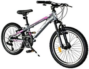 Geotech Path 20 Econ 2 20 Jant 21 Vites Çocuk Bisikleti - Gri/Pembe